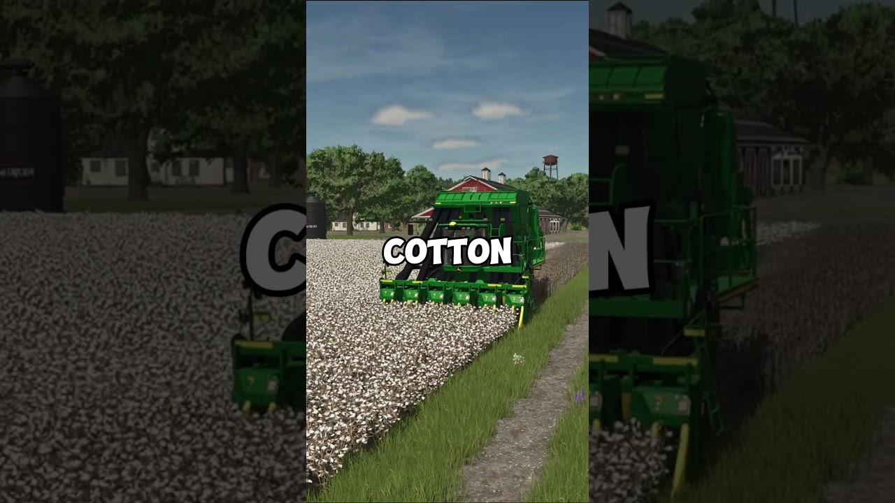 КАКАЯ КУЛЬТУРА ПРИНОСИТ БОЛЬШЕ ВСЕГО ДЕНЕГ В FARMING SIMULATOR 25!!!