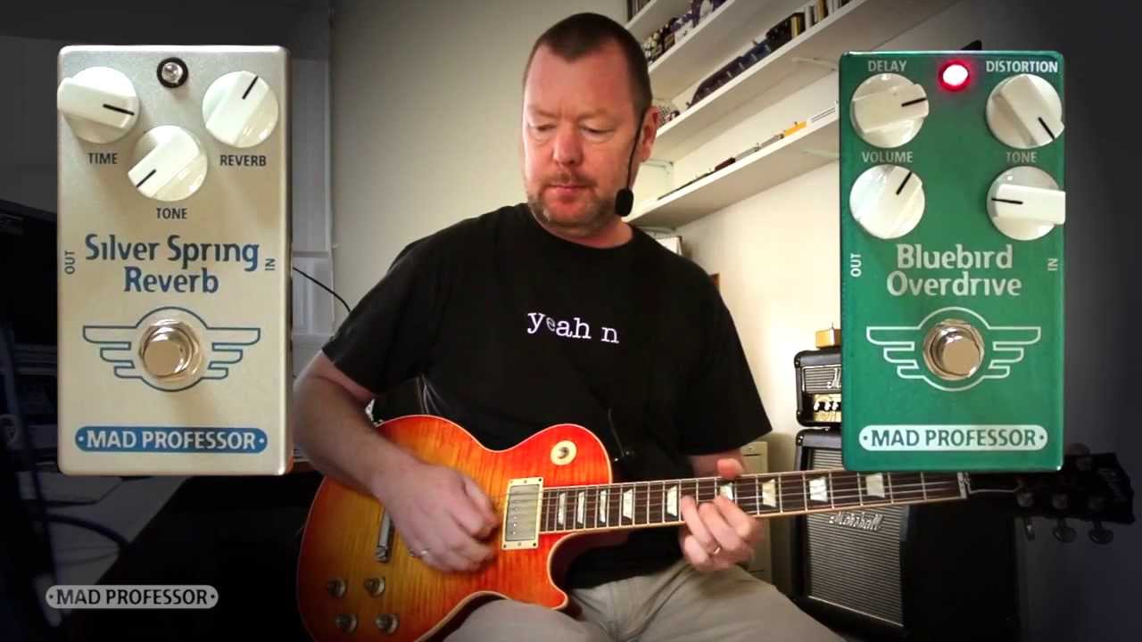 Mad Professor: SILVER SPRING REVERB w/Bluebird OD