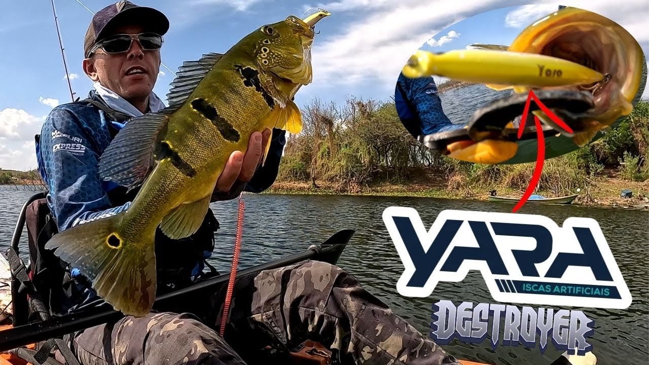 Tucunaré Monstro na Destroyer! A Isca que Faz a Diferença na Pesca!