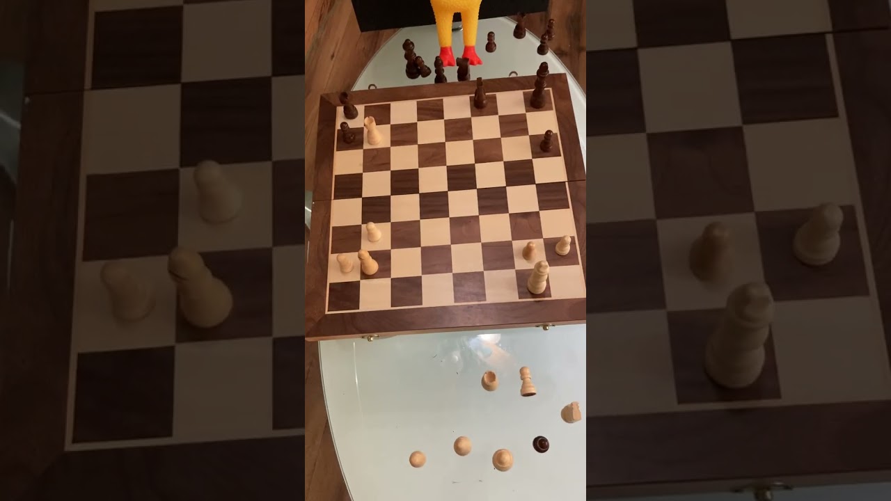 Professor Rubber Chickens Puzzle Corner #13 Solution