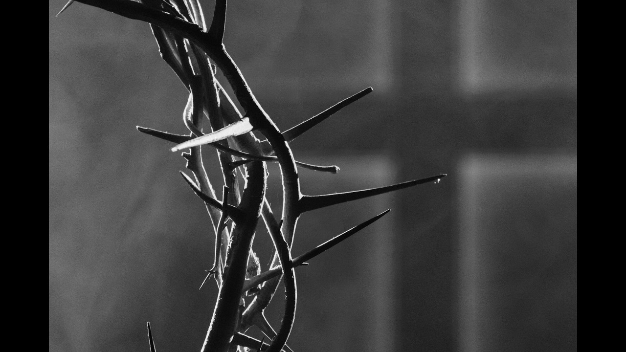 Mt Olive Lutheran Church Lenten Worship