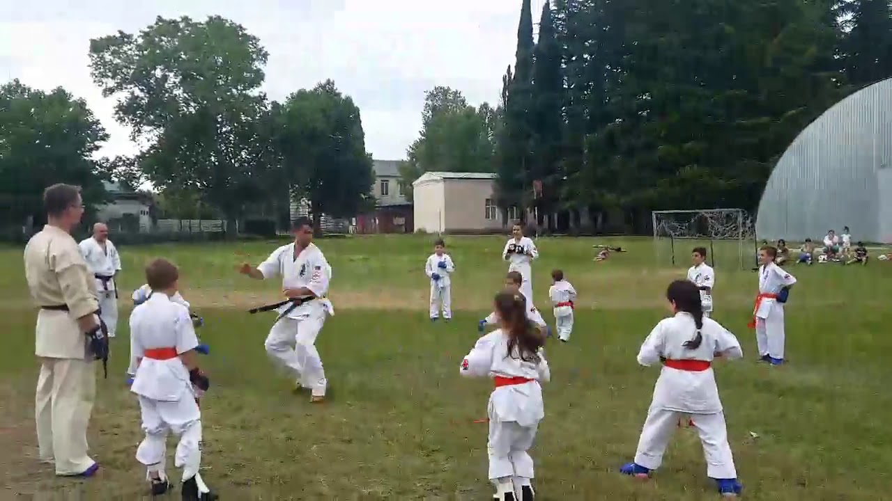 СО-КЁКУШИН КАРАТЭ.SENSEI ARMAN PETROSYAN