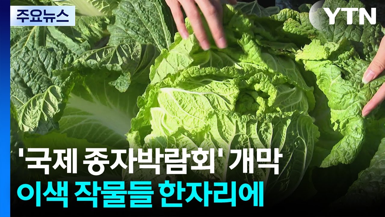 'K-종자' 세계로...기후 변화에도 강한 품종 한자리에 / YTN