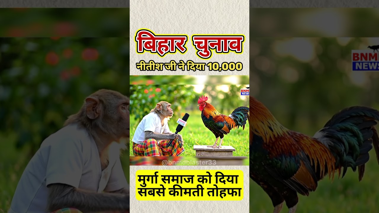 BIHAR चुनाव 2025 🚨 | माहिलाओ को 10,000 😱 | #biharnews #biharchunaav2025 #bihar #funnyinterview