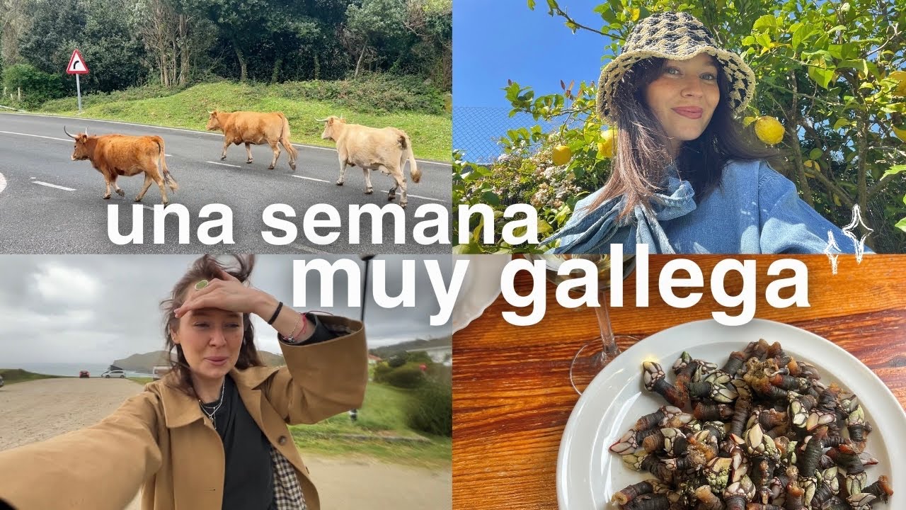 la realidad de una semana en galicia 🌧️☔