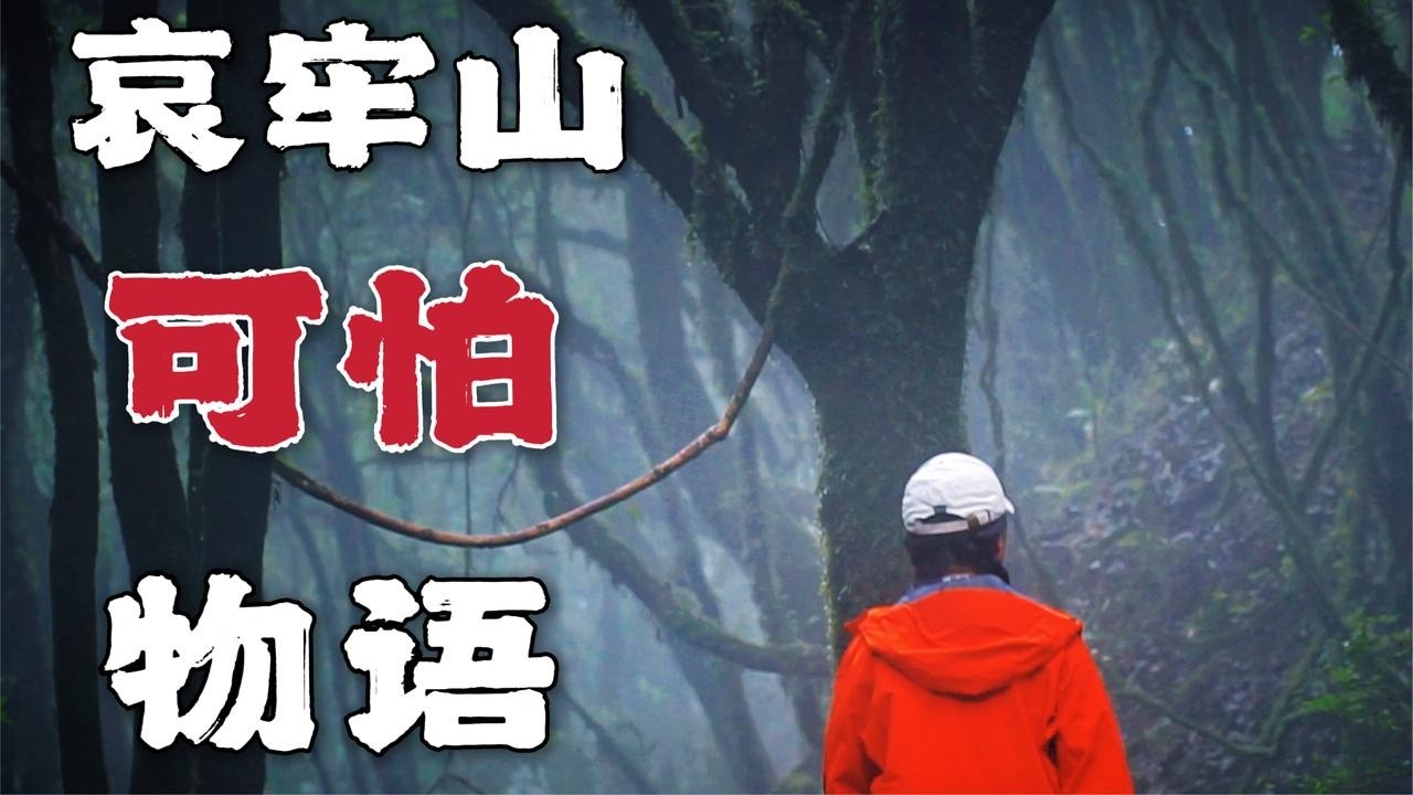 当我感觉被一座山吞没，我已来到中国“最可怕”的山——哀牢山！【旅行嘉日记】