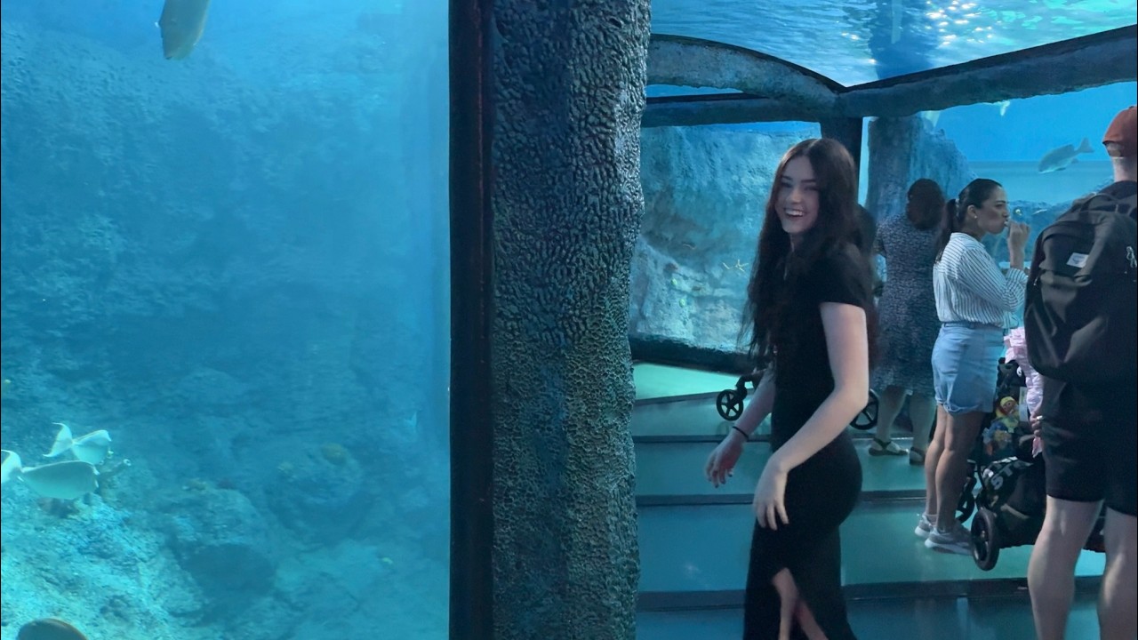 ASMR at the aquarium (sea life sydney) 🐠🪸