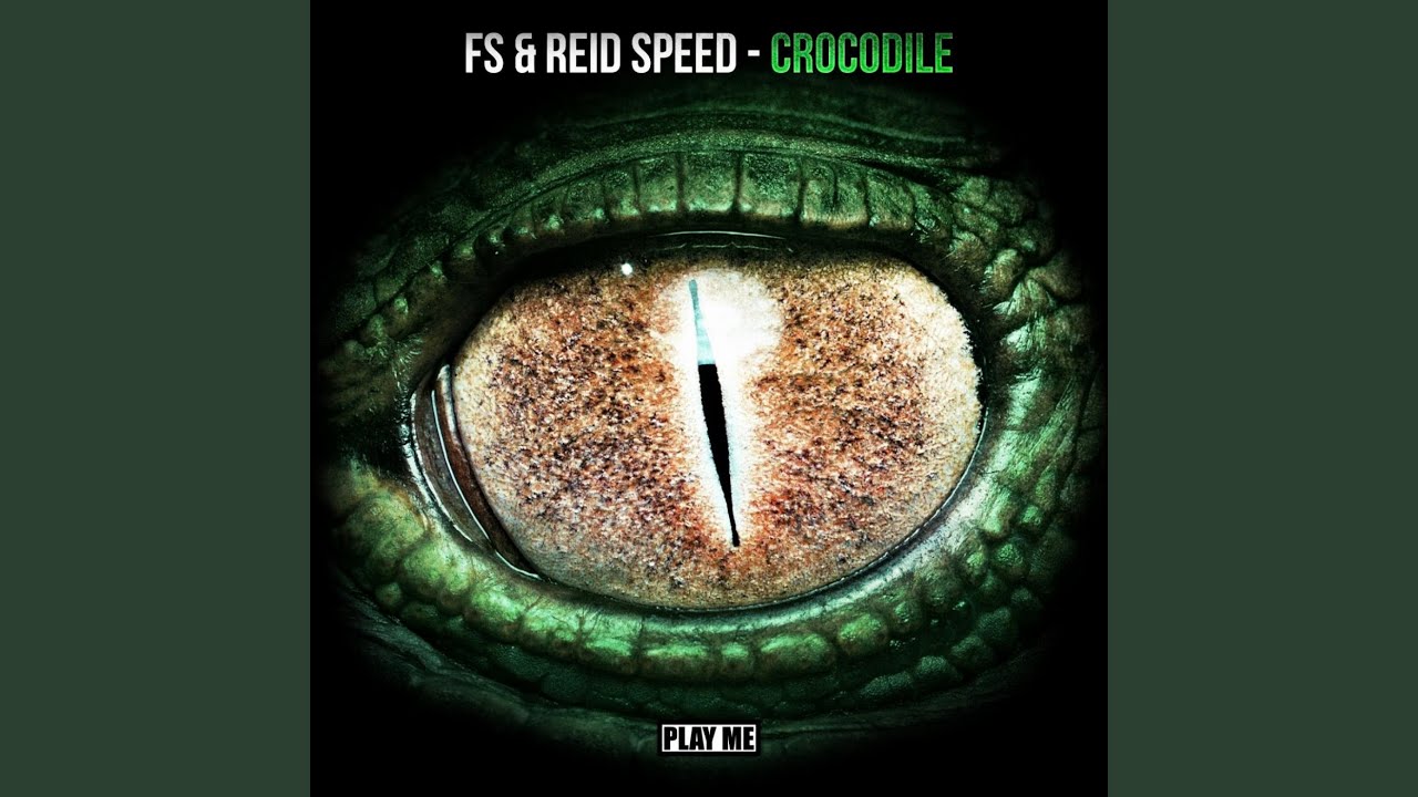 Crocodile (Original Mix)