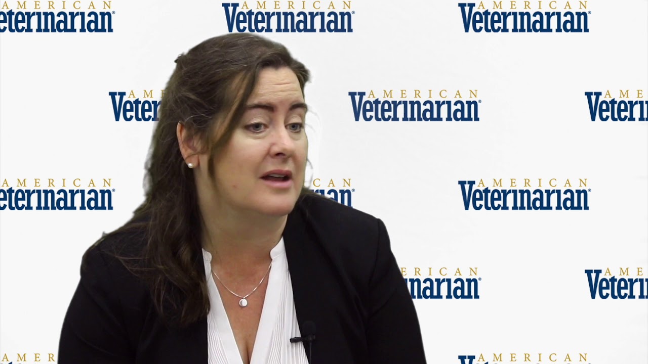 How Can Veterinarians Get Involved in Disaster Relief Work?