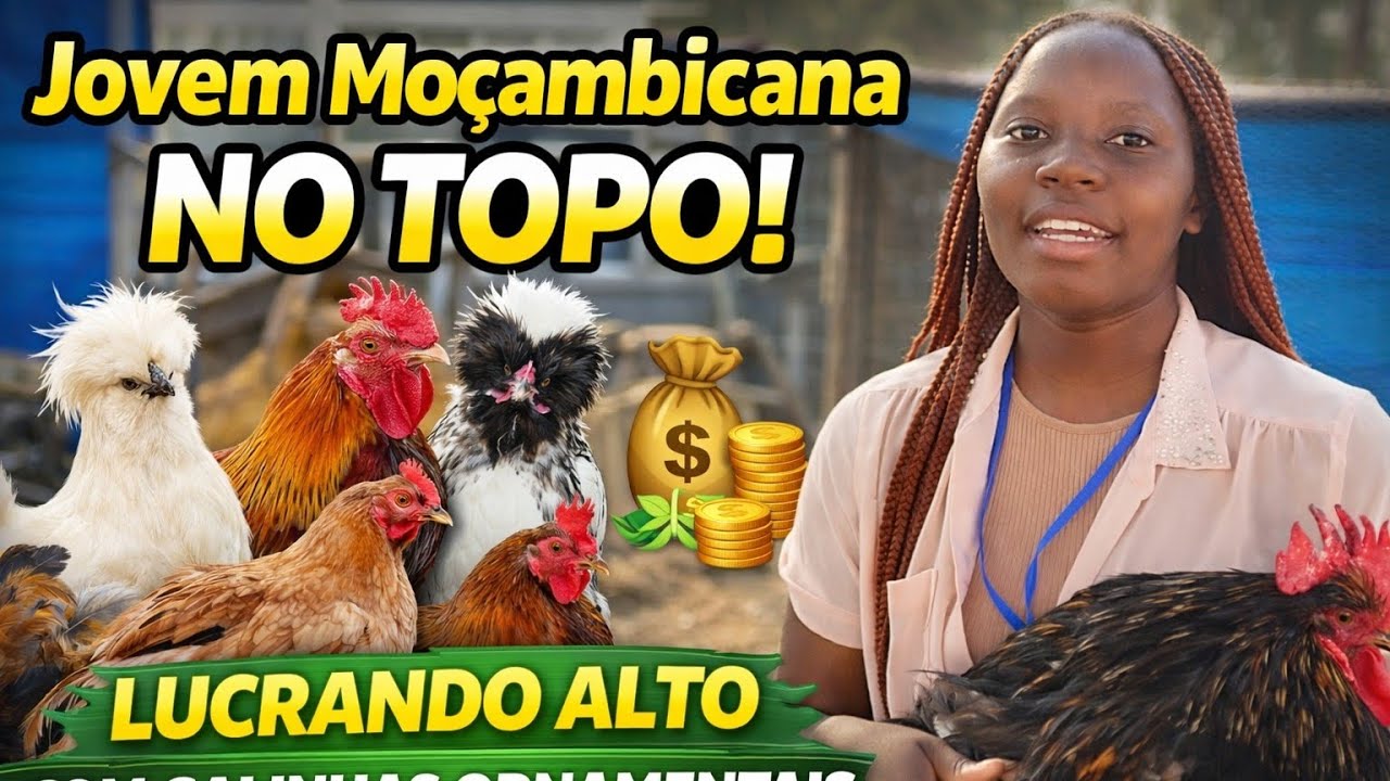 Do Quintal ao Lucro 💰🐔 | Jovem Moçambicana Fatura Alto com Galinhas Ornamentais