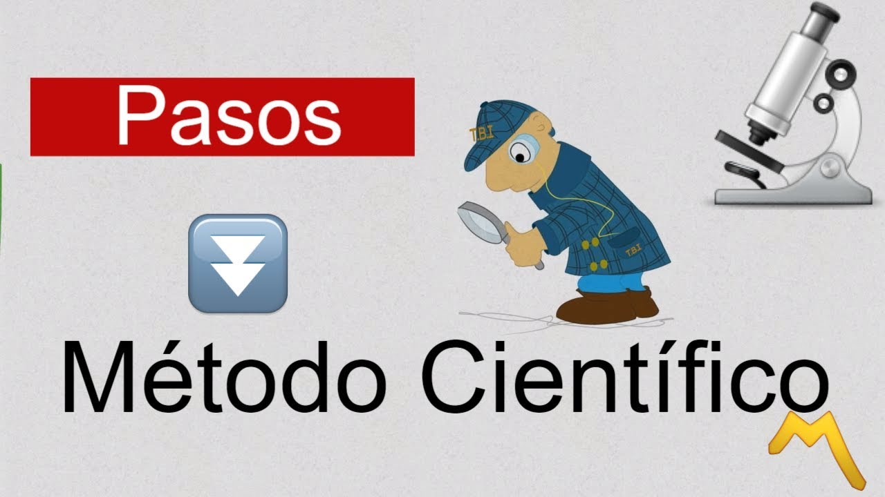 Pasos del M&Eacute;TODO CIENT&Iacute;FICO y sus ETAPAS 🧪