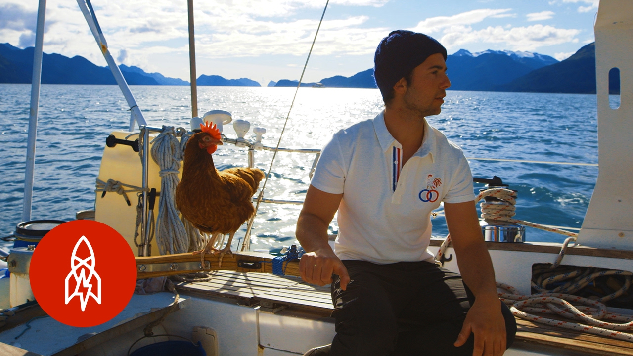 Sailing the High Seas with a Pet Chicken
