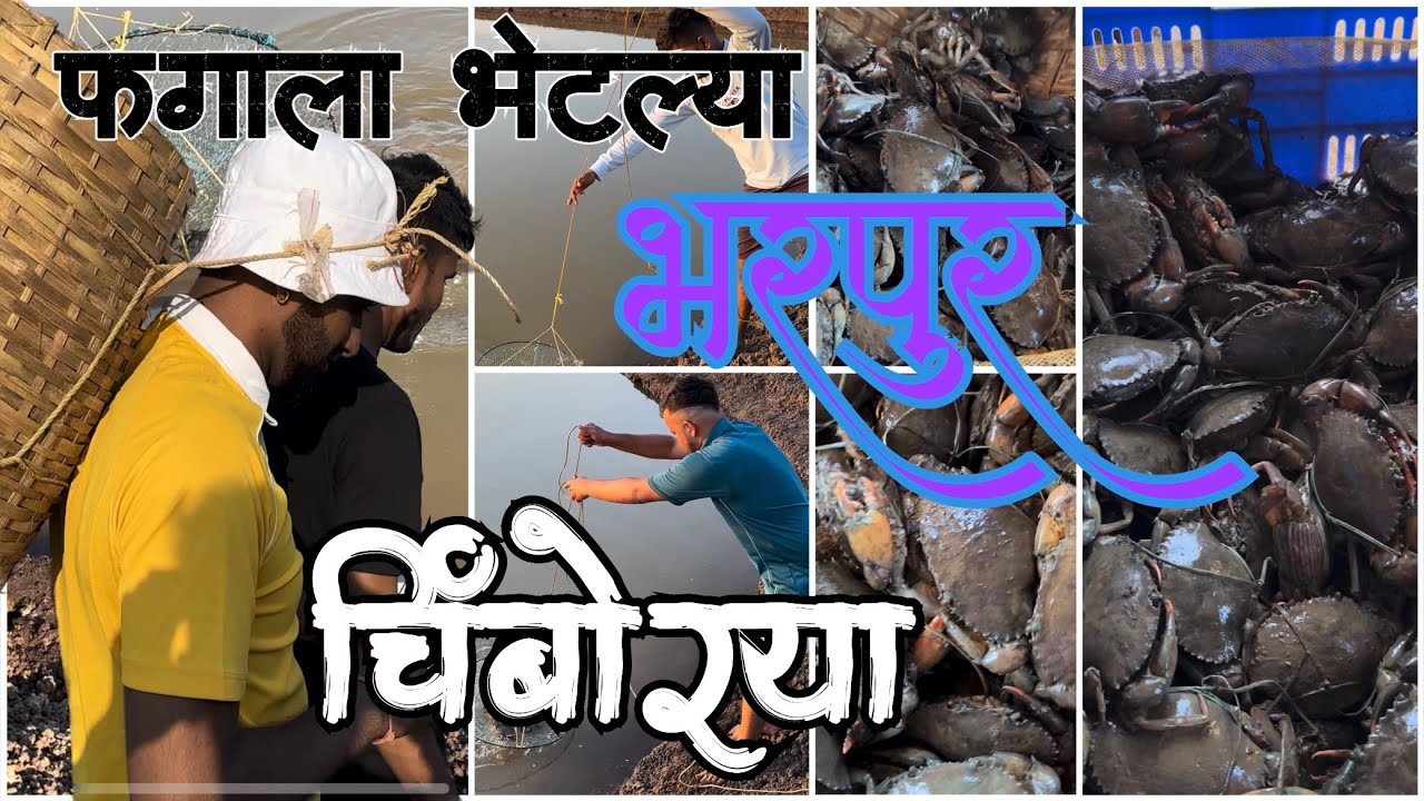 फगानी पकडल्या भरपूर चिंबोऱ्या  crab khekhda