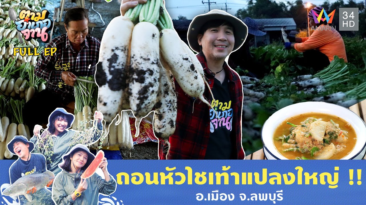 ถอนหัวไชเท้าแปลงใหญ่ !! อ.เมือง จ.ลพบุรี | ตามอำเภอจาน | 11 ก.พ. 68 Full EP