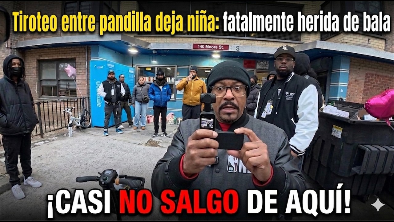Pandillas siembran el terror en Brooklyn New York 😱