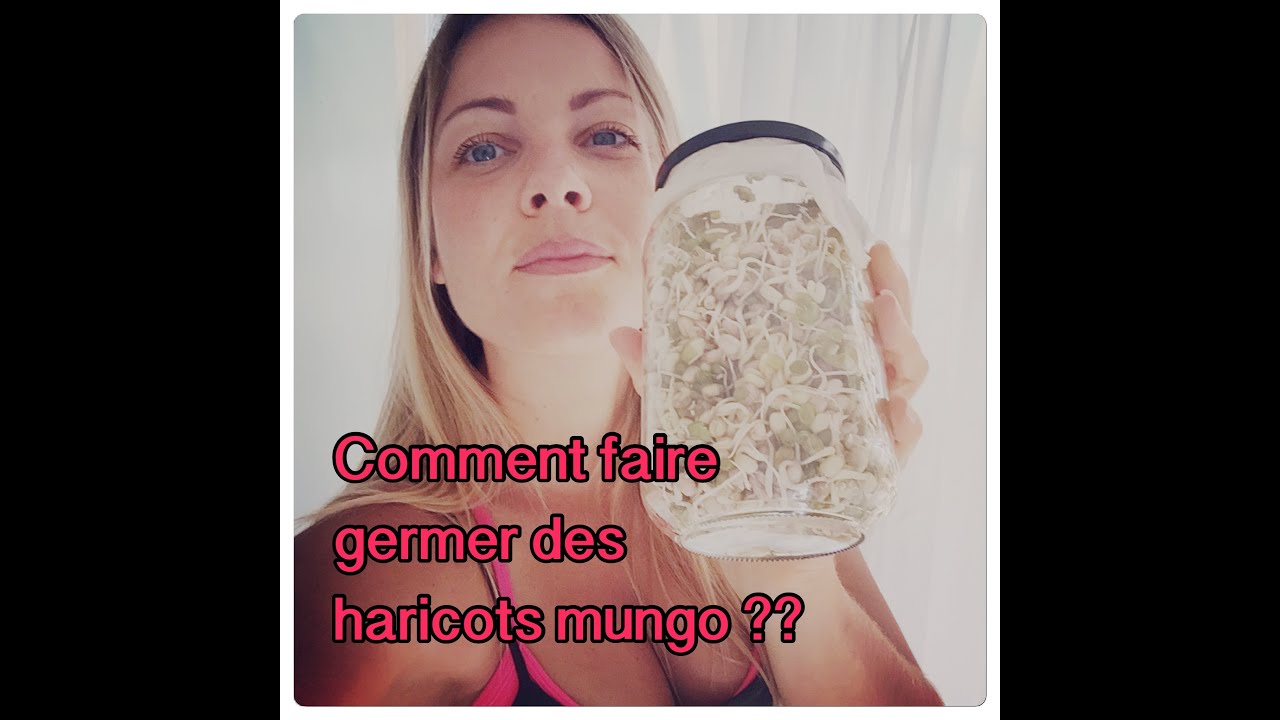 #Graines germées# Les haricots mungo.