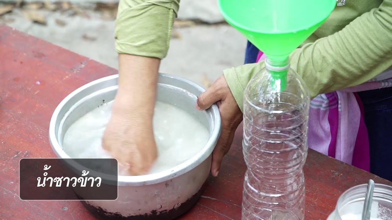 วิธีทำ จุลินทรีย์น้ำซาวข้าว l สูตรเปลี่ยนโลก