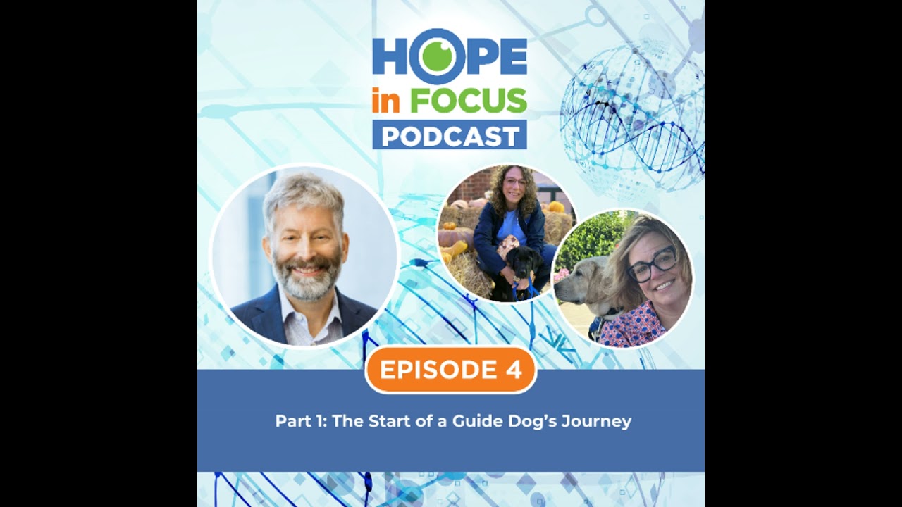 Hope in Focus Podcast | Episode 4 - Part 1: The Start of a Guide Dog’s Journey