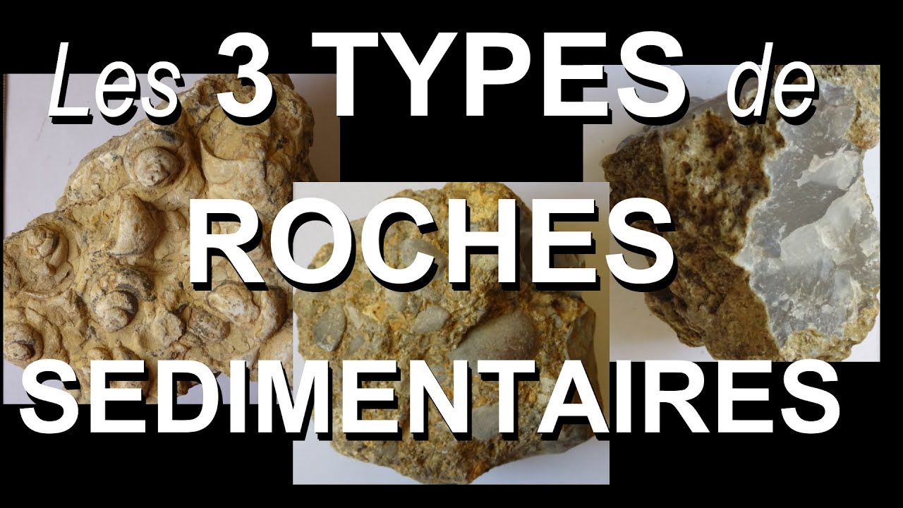 Les trois types de roches sédimentaires (par Mme Ruault-Djerrab)