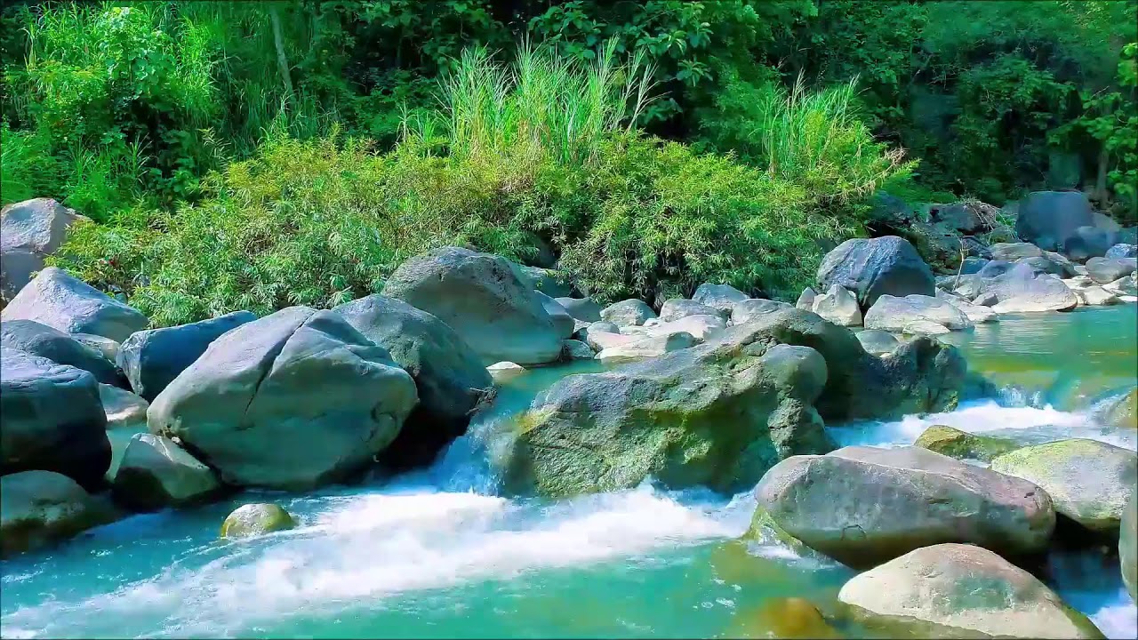 Serene River Sounds | Peaceful Waterfall River for Restful Sleep