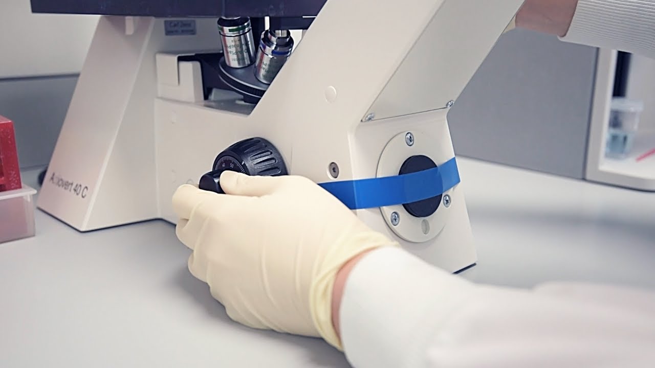 Research in Focus: Genomics with Dr. Judy Wong, UBC Faculty of Pharmaceutical Sciences