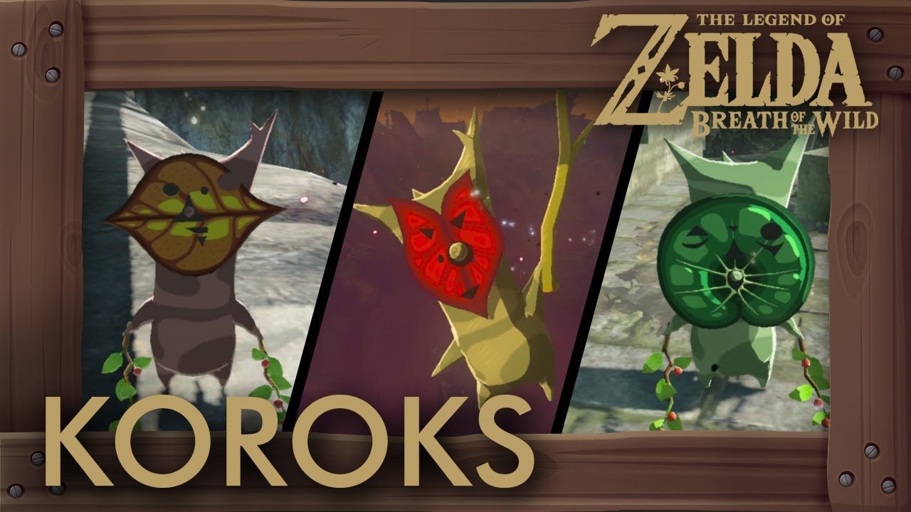 Zelda Breath of the Wild - All Korok Seeds (Hyrule Castle) Locations #875 - #900