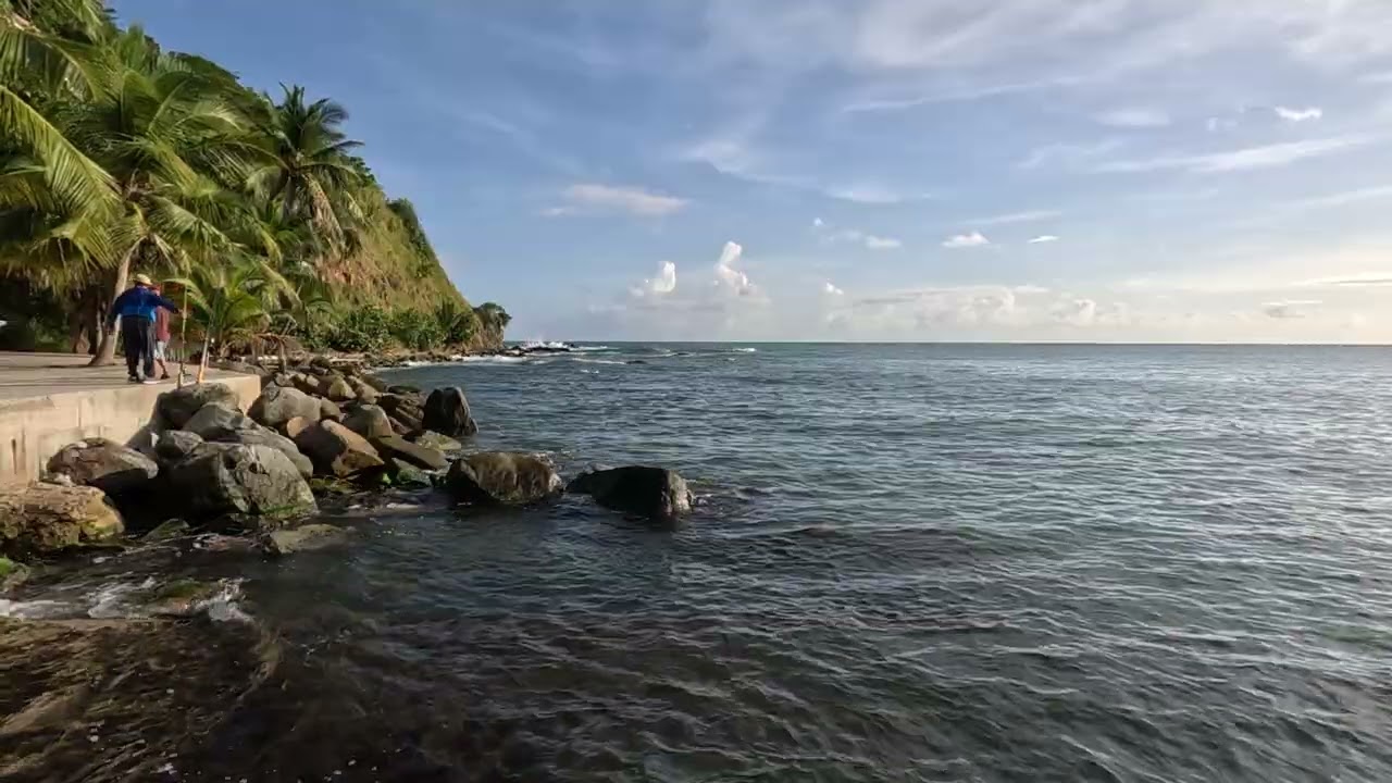 Maunabo Puerto Rico 🇵🇷🏝️🤩 15 Minutos De Playa, Pelicanos y Pescadores #puertorico  #playa #amazing