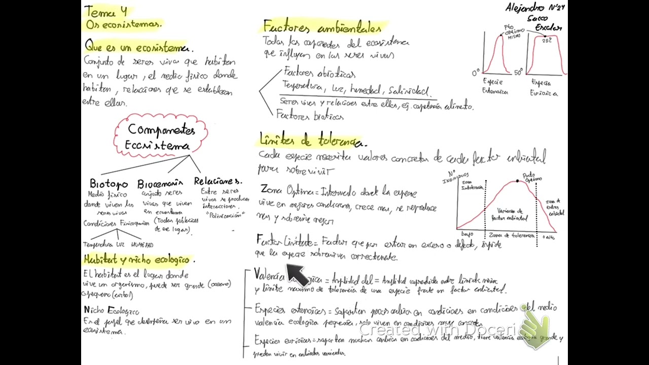 🧑‍🔬Biología Ecosistemas teoría 
