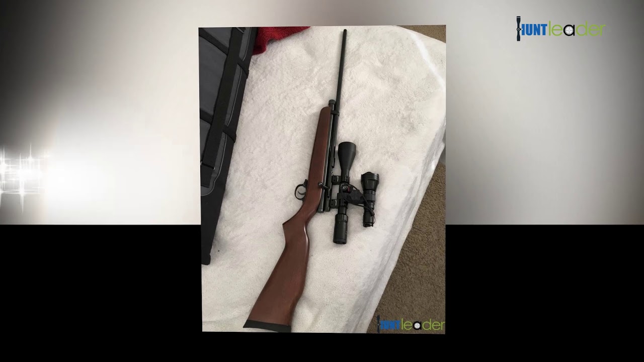Beeman QB78 Deluxe CO2 Air Rifle air rifle Review