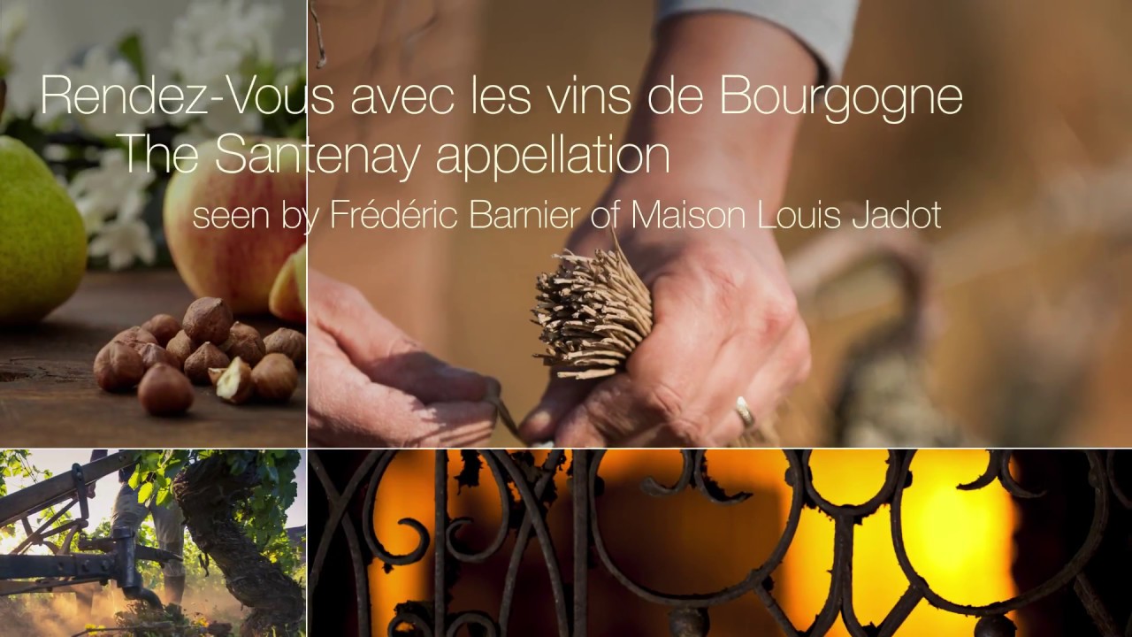 The Santenay appellation seen by Fr&eacute;d&eacute;ric Barnier of the Jadot wine house.