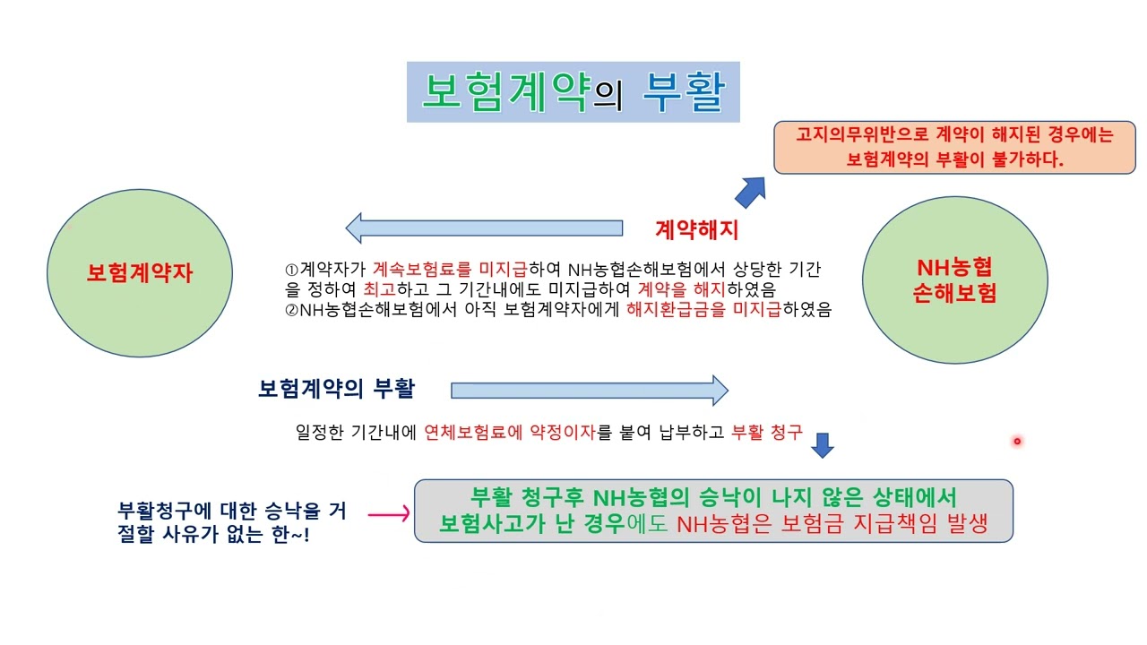 손해평가사 1차 상법보험편 8강 보험계약의 부활