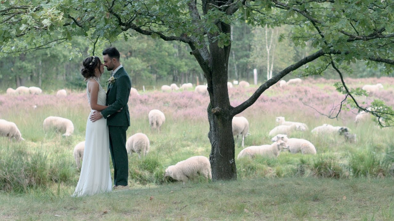 Trouwvideo Kirsten & Massimo -  Shoot in de Kesselse Heide en prachtig trouwfeest in The Tree, Lier