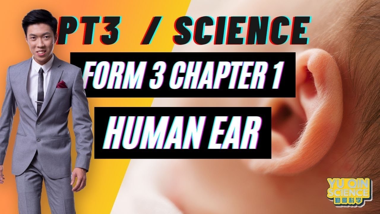 SCIENCE FORM 3 CHAPTER 1 KSSM || HUMAN EAR || ENGLISH