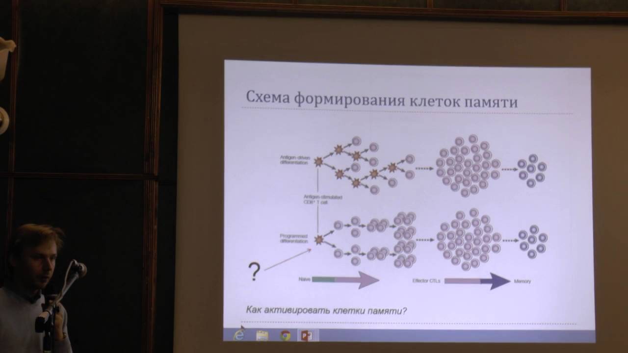 28.05.13| Ткачук А.П.| Современные представления об эффективной иммунопрофилактике