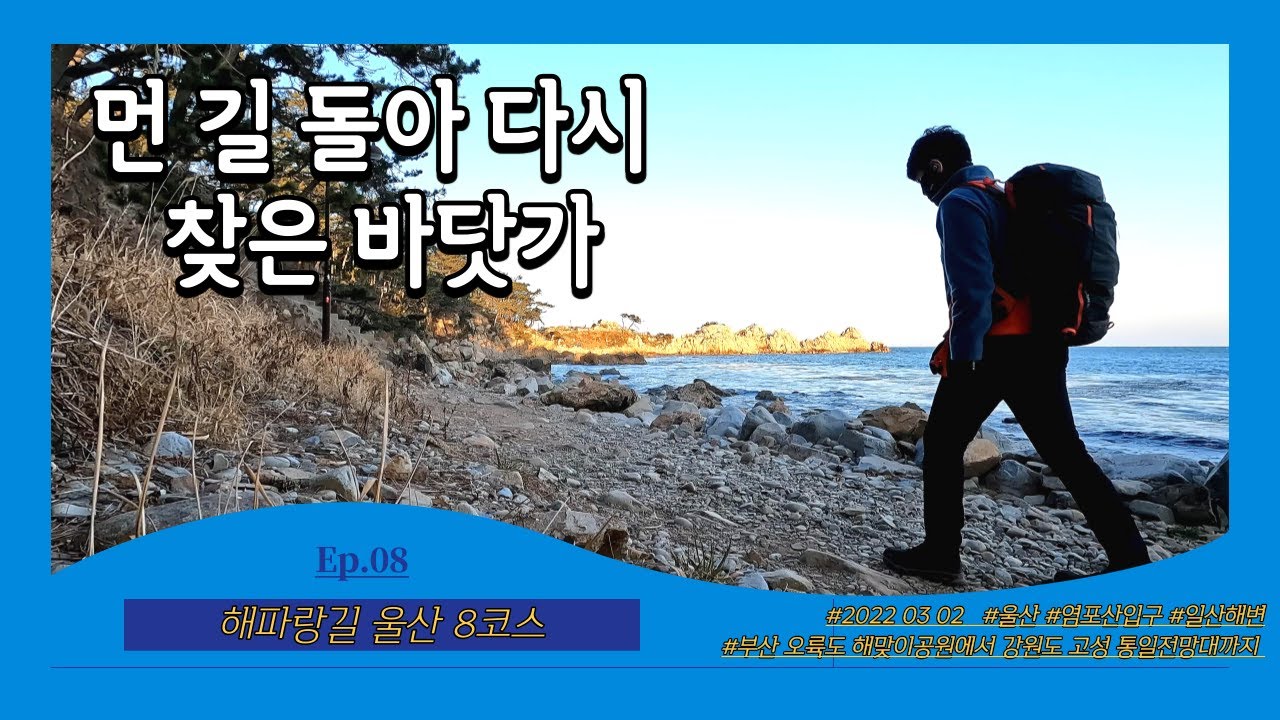 [울산 해파랑길 8코스] Ep.08 먼 길 돌아 다시 찾은 바닷가ㅣ염포산입구~일산해수욕장ㅣ부산에서 강원도 고성 통일전망대까지 770km의 대장정