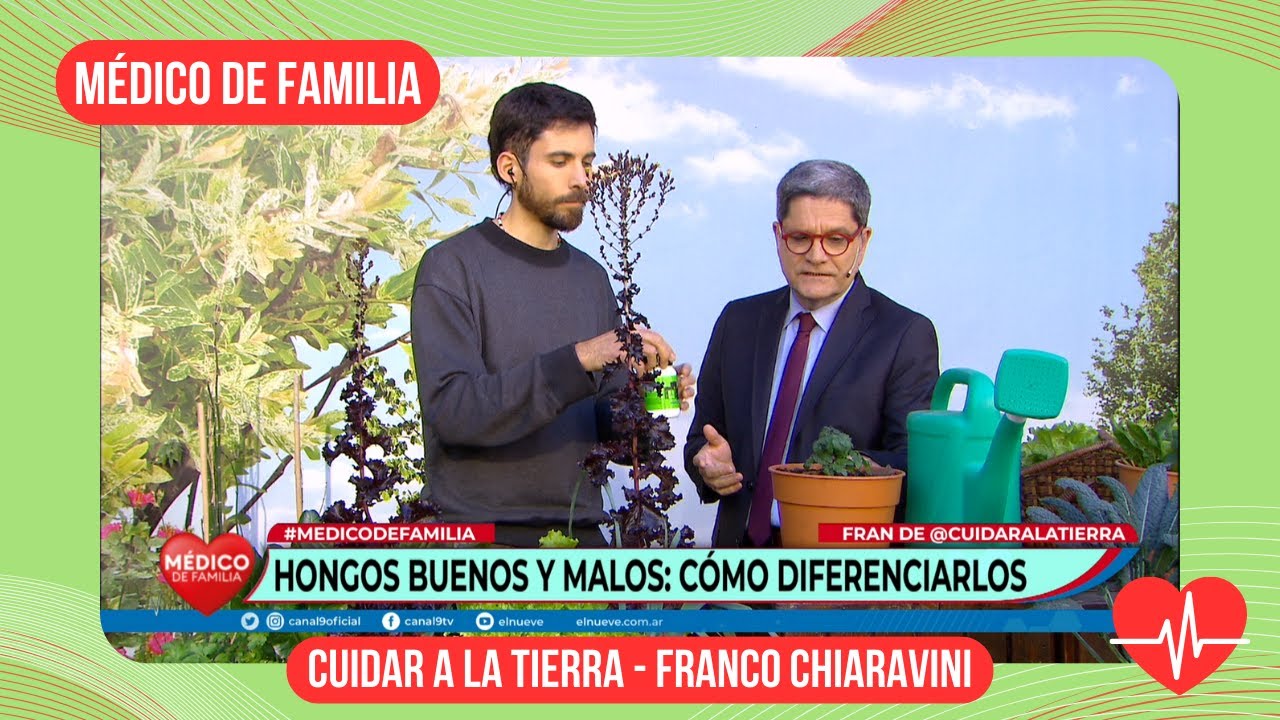 Hongos buenos y malos | Médico de Familia | Dr. Jorge Tartaglione | Cuidar a la tierra