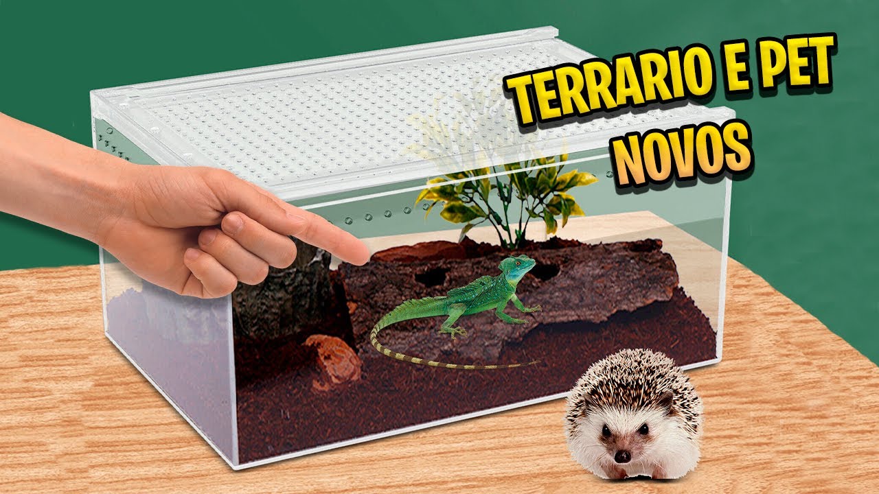 MONTEI TERRARIO da CHINA para NOVOS PETS!