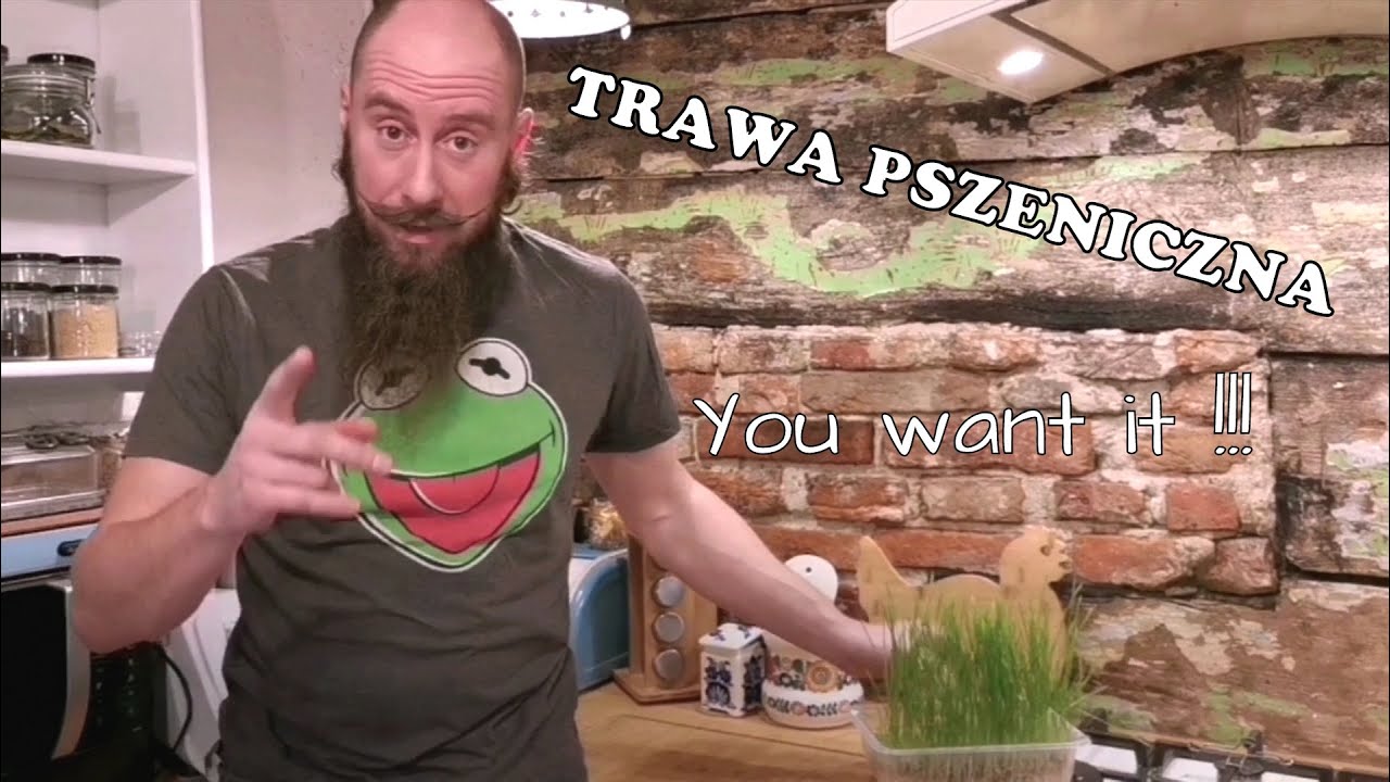 Trawa pszeniczna - czym jest i dlaczego warto ją uprawiać - wieża  nawadniająca DIY
