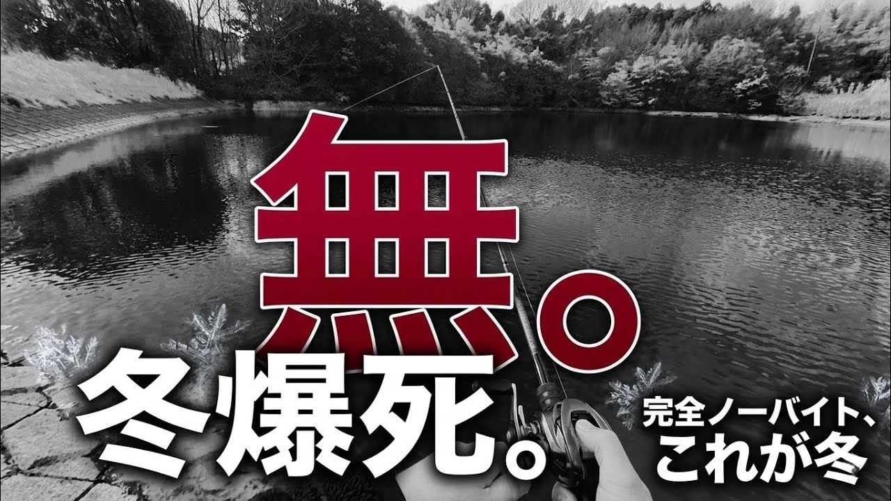 【完全無】冬のバス釣り、1バイトも無かった日の記録｜それでも釣りに行く理由