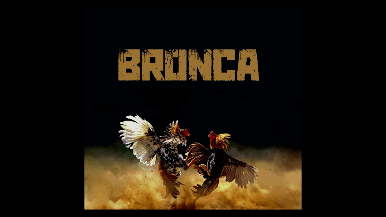 BRONCA - Broken Nose