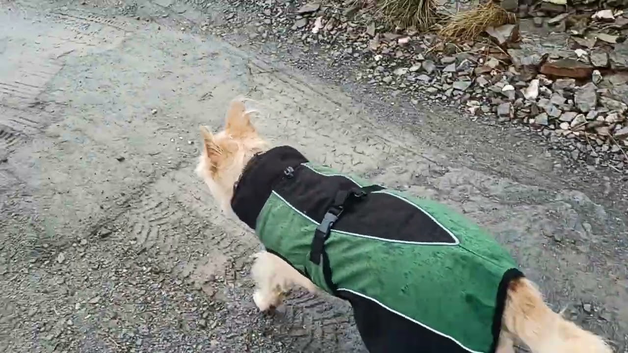 Emma bestimmt die Route 