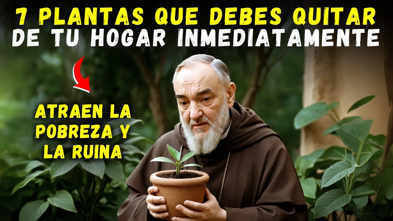 ⚠️ PADRE PÍO ALERTA 7 PLANTAS QUE IMPIDEN LAS BENDICIONES EN TU CASA