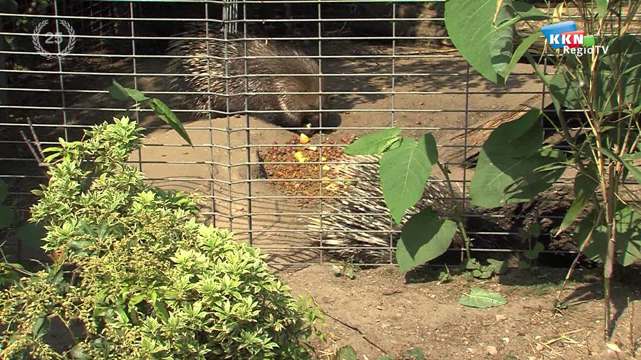 Zie-Zoo in Volkel eerste zorgdierentuin van Nederland