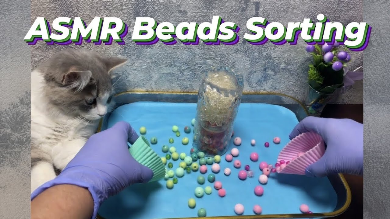 Cute Cat Relaxing with Soft Sounds | Calming ASMR for Stress Relief