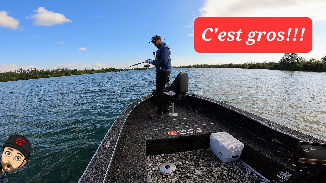 On pêche le Silure au Livescope en vertical et ça déménage !!!