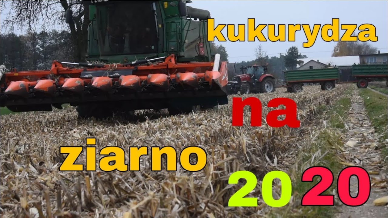 ★KUKURYDZA NA ZIARNO 2020 ★ John Deere T550 ★ case puma 160★agro wroniawy ★