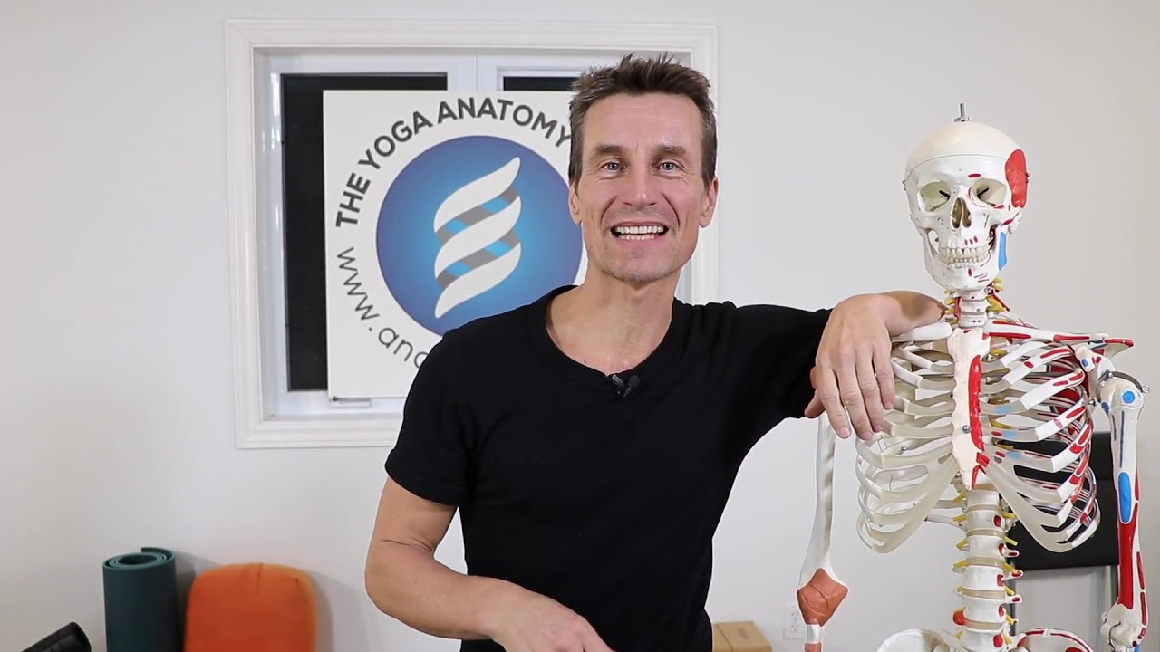 Welcome to my AnatomyShow Channel.