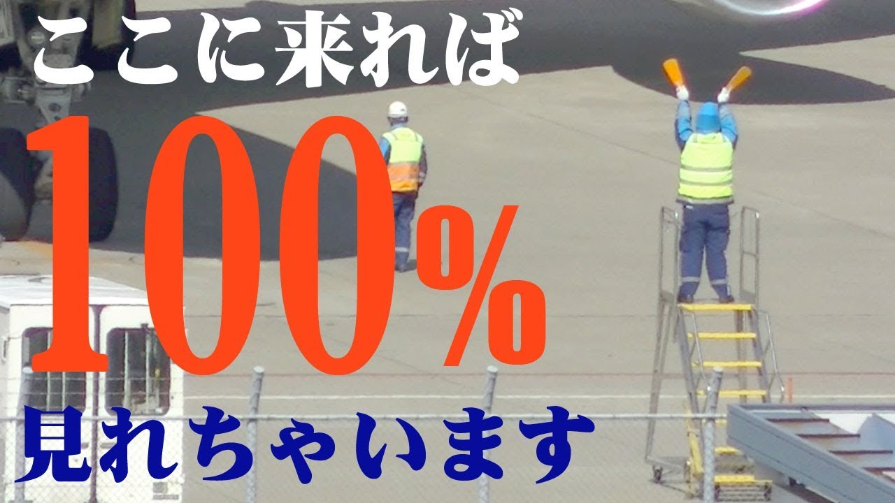 【成田空港】ここなら絶対に見れる!?　成田の”マーシャリング特等席”で、マーシャリングをじっくり眺めてみよう！