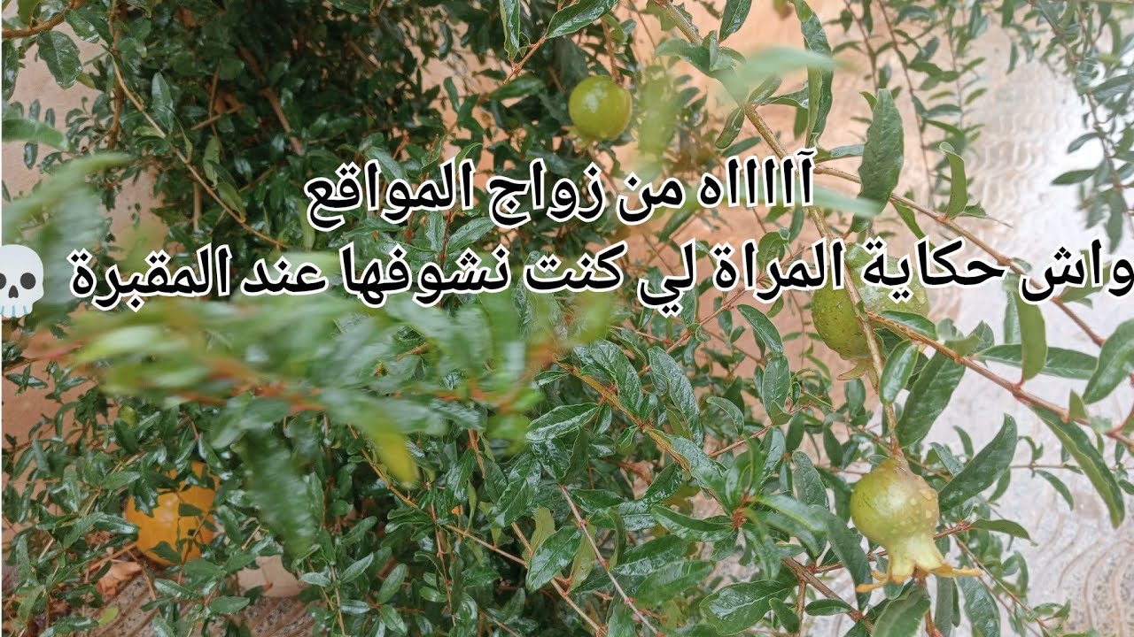 آاااااه من زواج المواقع وين وصل 😱واش حكاية المراة لي كنت نشوفها عند  المقبرة 💀