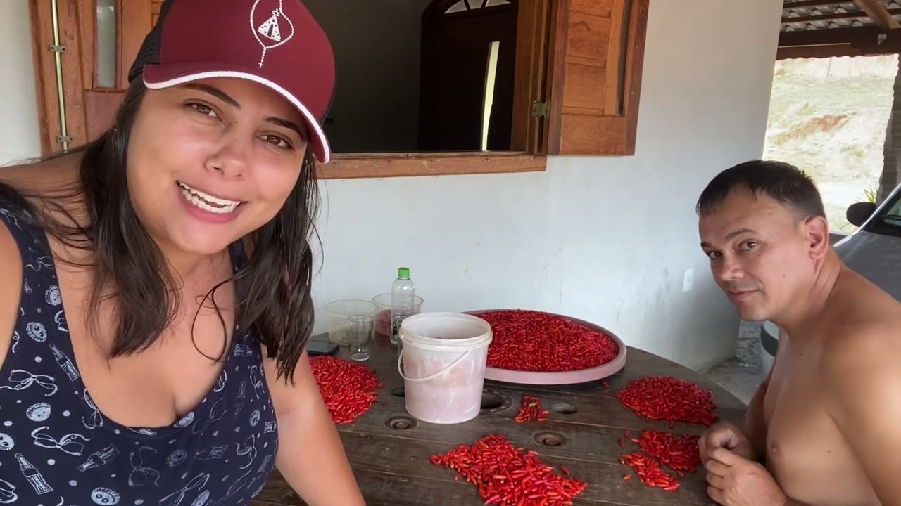 Pimenta malagueta! Nossa renda na roça…